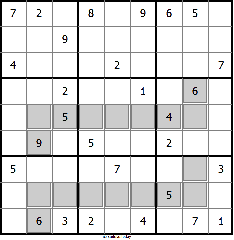 额外区域数独 #24335